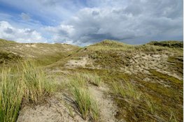 Avondwandeling door het PWN-duin bij Den Helder