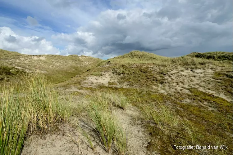 Avondwandeling door het PWN-duin bij Den Helder