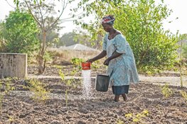 Foto expositie Petro van den Herik in Bibliotheek Julianadorp
