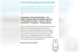 Feestelijk eten koken met nijntje-recepten