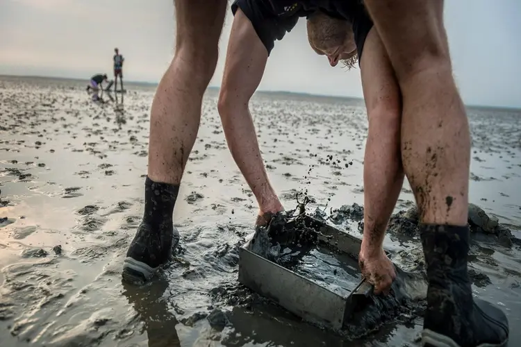 Leer alles over het wad van een echte wetenschapper!