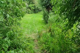 Man met scootmobiel te water in Julianadorp, jongens in bootje schieten te hulp