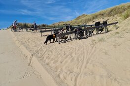 Zoekactie naar vermiste man in Helderse duinen