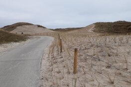 Invasieve exoten opruimen in de Noordduinen