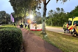 Auto tegen boom in Den Helder, één gewonde