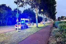 Auto tegen boom in Den Helder, één gewonde