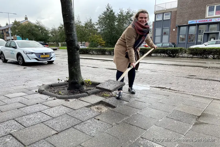 Wethouder Bais licht eerste tegel voor project Bevrijd de bomen