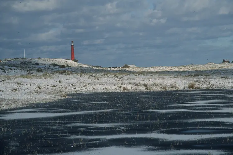 Wandel met de natuurgids door de Grafelijkheidsduinen bij Den Helder