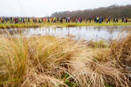 Lucas Nieuweboer zorgt na 18 jaar voor Nederlandse winst bij NN Egmond Halve Marathon