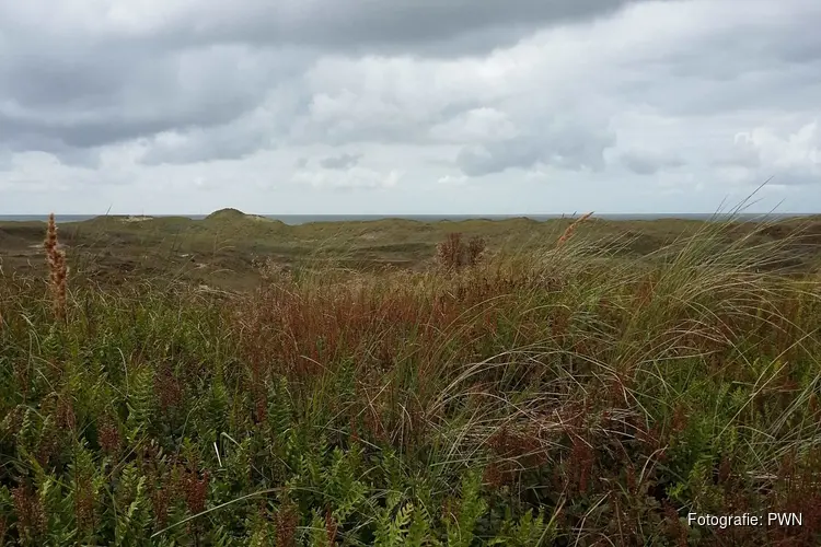 Speciale wandeling door het voormalig waterwingebied bij Huisduinen