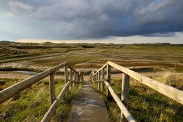 Zonsopkomst: wandel mee door de natuur van het Botgat bij Groote Keeten