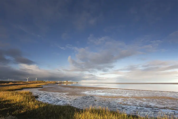Lente op de Waddenzee: spot de vogels bij Balgzand