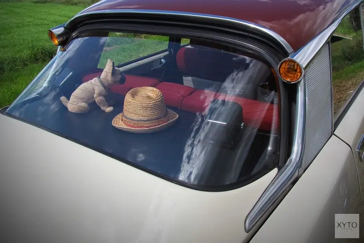 Uitgebreid onderhoud van het auto-interieur: van het reinigen van de stoffen tot het verzorgen van de raammechanismen