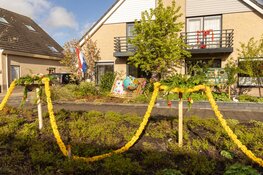 Mozaïek ‘Simply the Best’ is Nederlands Kampioen van de Bloemendagen 2024