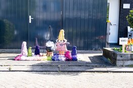 Mozaïek ‘Simply the Best’ is Nederlands Kampioen van de Bloemendagen 2024