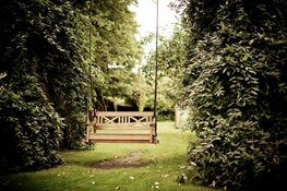 Het Inrichten van je tuin: tips en inspiratie