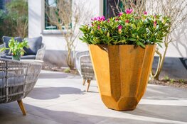 Creëer sfeer in je tuin met stijlvolle plantenbakken