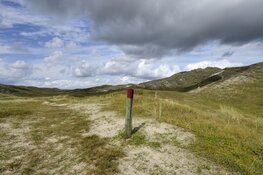Midzomernacht wandeling in de Noordduinen bij Den Helder
