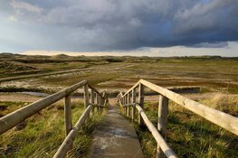Zwerf met een gids door Botgat bij Groote Keeten