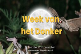 Unieke nachtactiviteiten tijdens Week van het Donker bij de Helderse Vallei
