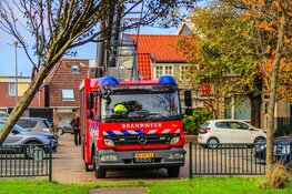 Brandweer haalt kind uit boom in Den Helder
