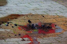 Schoorsteenbrand in Joubertstraat snel onder controle