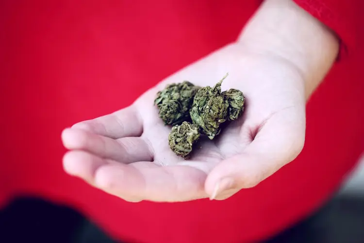De wereld van coffeeshops: meer dan alleen wiet