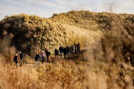 Een weekend vol wandelgeluk: 9.700 wandelaars genieten van 20e editie Egmond Wandel Marathon