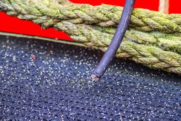 Koperdieven slaan toe bij Museum Lichtschip in Den Helder