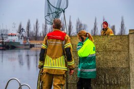 Brandweer Den Helder en dierenambulance in actie voor kat