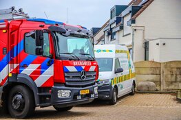 Brandweer Den Helder en dierenambulance in actie voor kat
