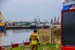Brandweer Den Helder en dierenambulance in actie voor kat