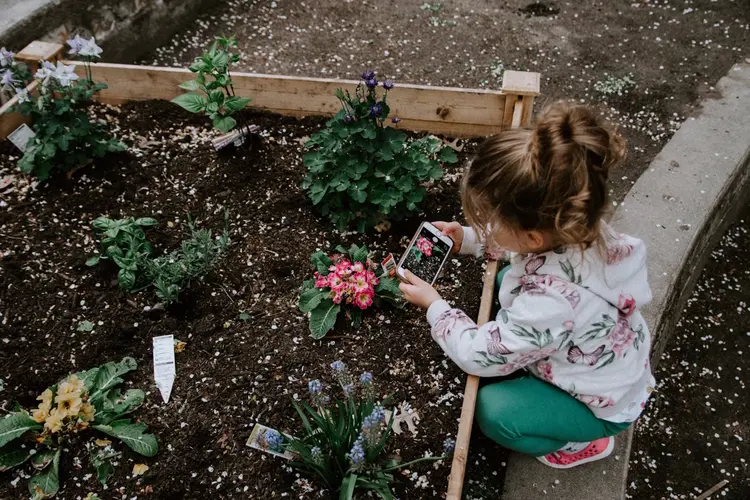 De voordelen van een cortenstalen borderrand in je tuin