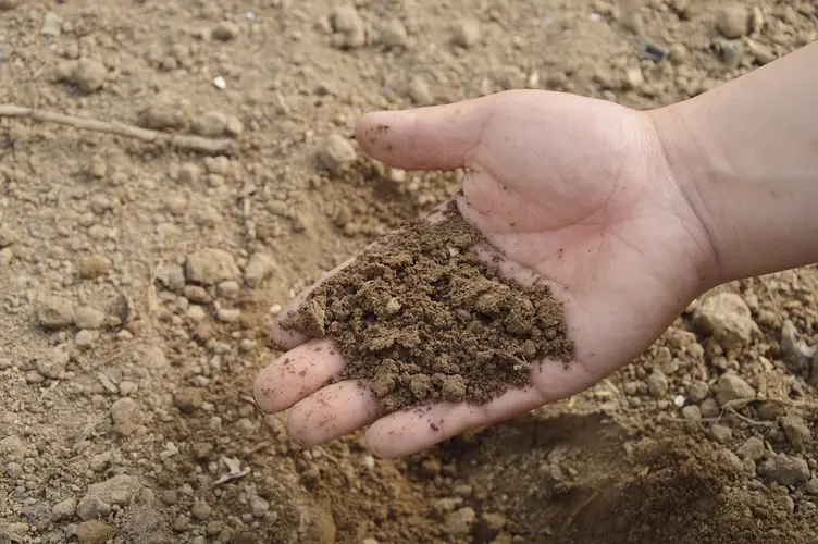 Gratis compost scheppen op zaterdag 29 maart