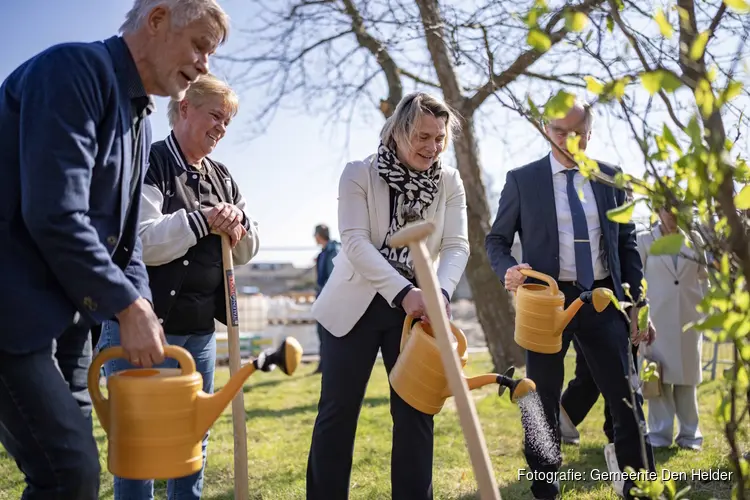 Nieuwbouwproject Balistraat van start met planten boom