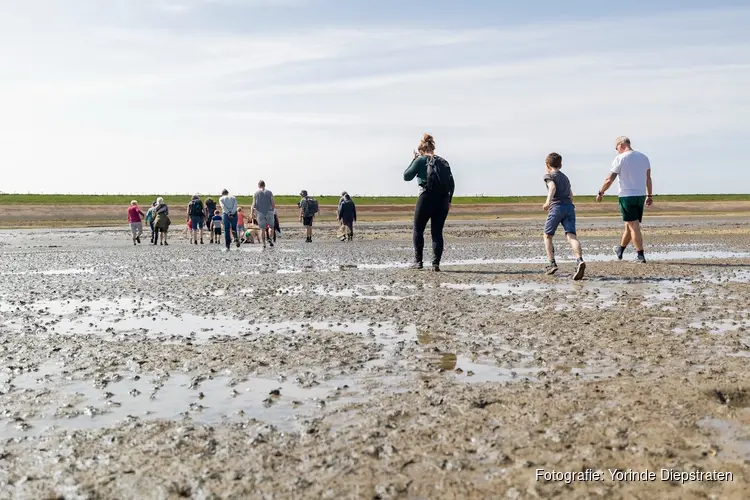 Start je weekend op het wad