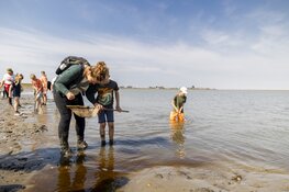 Start je weekend op het wad