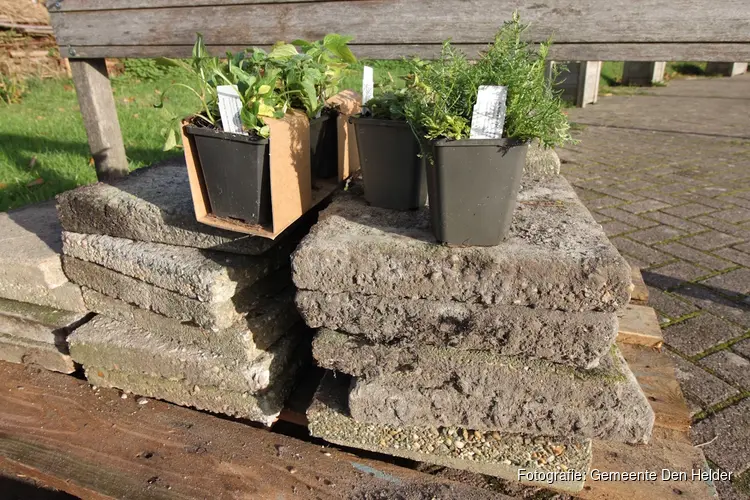 Gratis een Groene Tuin-pakket