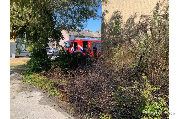 Brand in bosschage naast woningen in Den Helder, brandweer voorkomt overslag