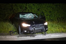 Automobilist vlucht na snelheidsmeting en verliest macht over het stuur