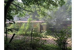 Brand in bospand Den Helder, brandstichting niet uitgesloten