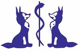 Van ambacht tot innovatie: De reis van Vosmedisch.nl