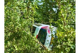 Auto raakt van de weg op N250