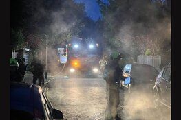 Opnieuw nachtelijke autobrand in Den Helder, voertuig in Clematisstraat verwoest