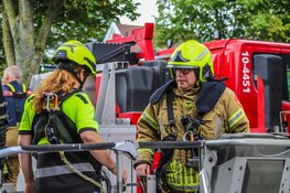 Meeuw schrikt los bij redding