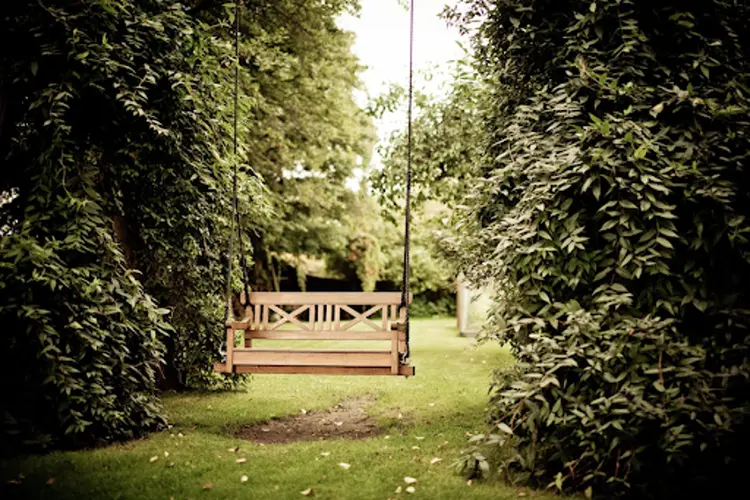 Hoe tuinafscheiding wordt gecombineerd met groen of klimplanten
