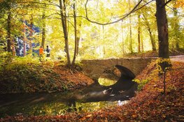 Daarom koop je een herfstjas het best al in de zomer