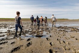 Sluit de zomervakantie af op het Wad