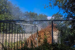 Buitenbrand bij begraafplaats in Den Helder snel geblust