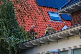 Boom breekt af en belandt op uitbouw aan Sumatrastraat in Den Helder